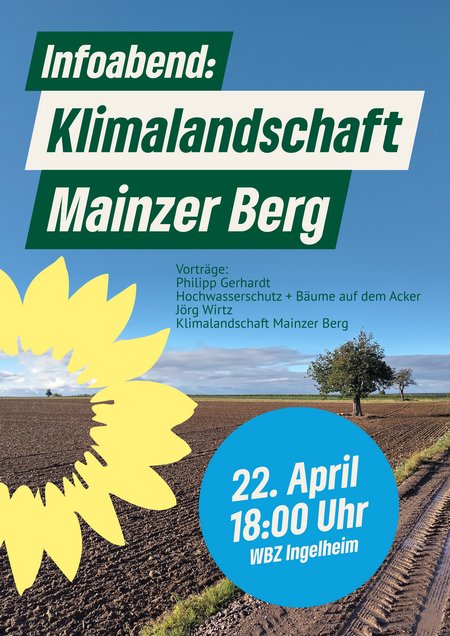 Ein Ackerbild der Allmendfelder auf dem Mainzer Berg mit einem einsamen Baum